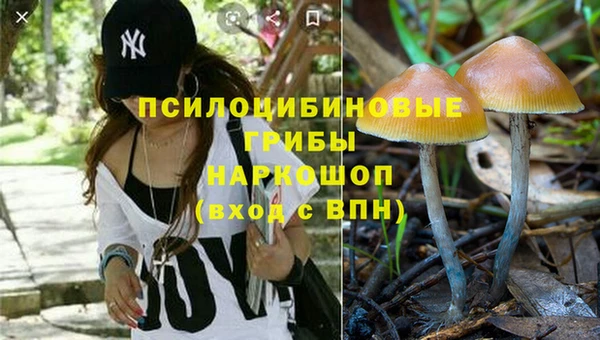 спайс Абинск
