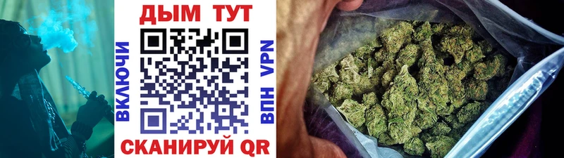 Марихуана план  как найти закладки  Цоци-Юрт 